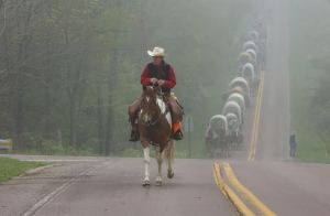 "Howdy" VanSickle leads the wagon train on its journey through an early morning fog.The 36th annual National Road Festival got off to an early start Friday morning as they left Addison, Somerset County and headed west along Route 40 towards Fayette County.